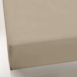 Formesse Bella Donna Jersey 90 x 190 - 100 x 220 cm champagner
