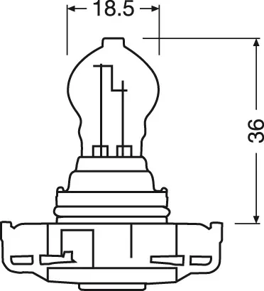 OSRAM Glühlampe, Blinkleuchte 2503a