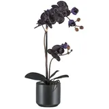 Kunstorchidee Orchidee Phalaenopsis Orchidee, Bruno Banani, Höhe 50 cm, mit real-touch-Blüten schwarz