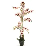 Kunstorchidee Kunstblume Phalaenopsis Orchidee CHENXU, rosa-Creme, 140 cm Orchidee (Orchidee phalaenopsis), artplants, Höhe 140.0 cm rosa