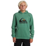 QUIKSILVER Kapuzensweatshirt »BIG LOGO HOODIE YOUTH«, Gr. 16 (170/176), grün, , 56076504-16