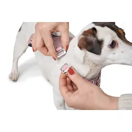 Hunter Divo Up Hundegeschirr Altrosa S