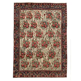 RugVista Afshar / Sirjan Teppich 206x288