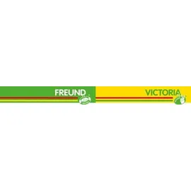 Freund Victoria Fugenkratzer 491