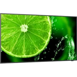 NEC MultiSync E328-2 32" schwarz