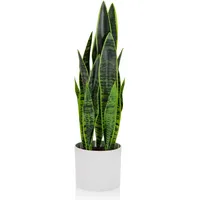 bümö Bümö, Kunstpflanzen, Kunstpflanze Bogenhanf (sansevieria) (65 cm)