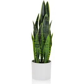bümö Bümö, Kunstpflanzen, Kunstpflanze Bogenhanf (sansevieria) (65 cm)