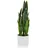 bümö Bümö, Kunstpflanzen, Kunstpflanze Bogenhanf (sansevieria) (65 cm)
