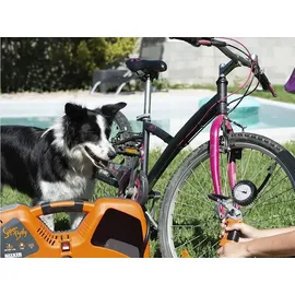 Revolution'Air Super Boxy