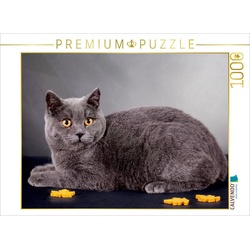 CALVENDO Puzzle CALVENDO Puzzle Britisch Kurzhaar Katzen 1000 Teile Lege-Größe 64 x 48 cm Foto-Puzzle Bild von weh-zet, 1000 Puzzleteile