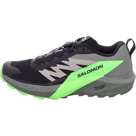 Salomon Sense Ride Herren Black/Laurel Wreath/Green Gecko 46 2/3