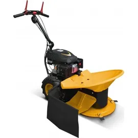 BAMATO GS-170 mit RATO Motor