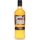 Birkenhof-Brennerei GmbH Apfelstrudellikör 20% vol 0,7 l