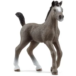 Schleich HORSE CLUB 13957, 5 Jahr(e), Braun