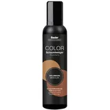 basler Color Schaumfestiger Hellbraun, Aerosoldose 200 ml