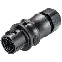 Wieland Electric 96.031.0053.1 Rundstecker Buchse, gerade Gesamtpolzahl: 3 1St.