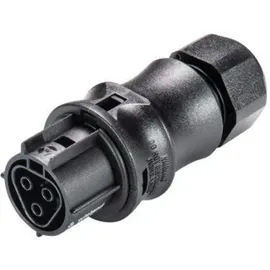 Wieland Electric 96.031.0053.1 Rundstecker Buchse, gerade Gesamtpolzahl: 3 1St.