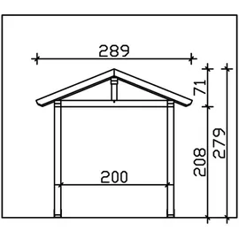 SKANHOLZ Vordach Stralsund 4 289 x 116 cm grau