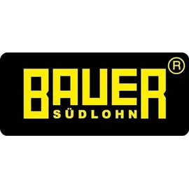 Bauer Späne-Kastenwagen SKW-ET 600 600 kg