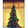 Coppenrath Verlag Wand-Adventskalender Winterstadt am Abend