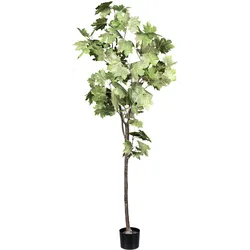 Kunstbaum CREATIV GREEN "Ahornbaum", grün, H:175cm, Kunstpflanzen, mit detailgetreuen Blättern