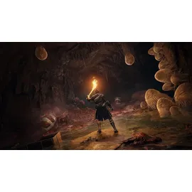 Elden Ring - Standard Edition (ESRB) (PS5)