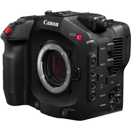 Canon Cinema EOS C80 + RF 24-105 mm F2,8 L IS USM Z