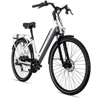 Bergsteiger Hampton 28 Zoll City E-Bike mit 250 Watt Motor, Scheibenbremsen, Aluminium Ebike für Damen & Herren, Farbdisplay, Elektrofahrrad mit S...