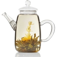 Dimono Mundgeblasene Teekanne mit Teefilter & Teesieb Kanne mit Filtereinsatz aus Glas (Krug 600ml)