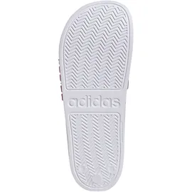 adidas Shower Adilette Cloud White / Royal Blue / Pure Ruby 42