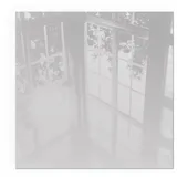 Tulup Glasplatte für Kamin Quadrat 60 x 60 x 0,4 cm Sicherheitsglas Grau