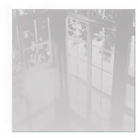 Tulup Glasplatte für Kamin Quadrat 60 x 60 x 0,4 cm Sicherheitsglas Grau