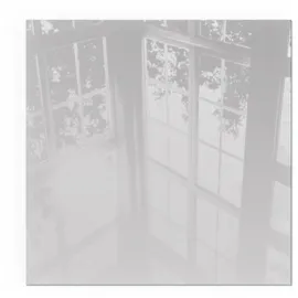 Tulup Glasplatte für Kamin Quadrat 60 x 60 x 0,4 cm Sicherheitsglas Grau
