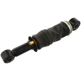 Auger 20060