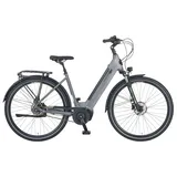Prophete Geniesser 3.0 28 Zoll RH 48 cm Grau Metallic Matt