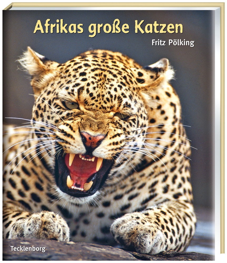 Afrikas Grosse Katzen - Afrikas grosse Katzen  Gebunden