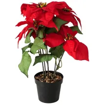 Boltze Künstlicher Weihnachtsstern Im Topf, H. 40 Cm