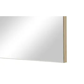 INOSIGN Spiegel ¦ silber ¦ Holzwerkstoff,Glas ¦ Maße cm B: 51 H: 83 T: 2.0