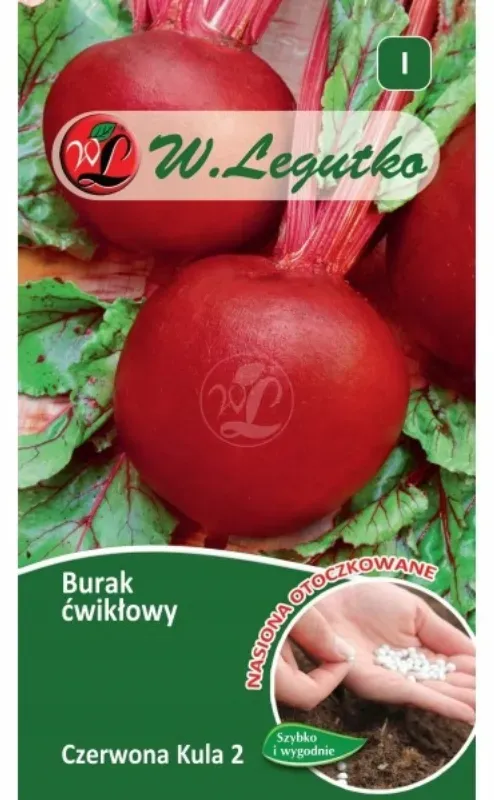 Rote Beete Czerwona Kula 2