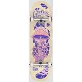 Globe G1 Mind Expansion 8.5" Skateboard off / white / purple Gr. Uni