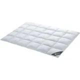 SPESSARTTRAUM Daunendecke Wildente warm 100% Daunen 135x200 cm