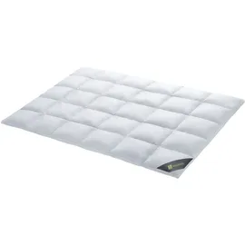 SPESSARTTRAUM Daunendecke Wildente warm 100% Daunen 135x200 cm