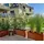 Palatino Lotte 80 x 40 x 50 cm Braun
