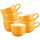 SELTMANN WEIDEN Liberty Pure Colors Kaffeetasse 0,26 l Mango Orange 6 St.
