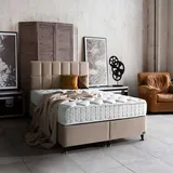 Bambi 140 x 200 cm H4 Gold/Beige