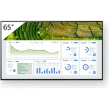 Sony Bravia FW-65BZ30L 65" schwarz