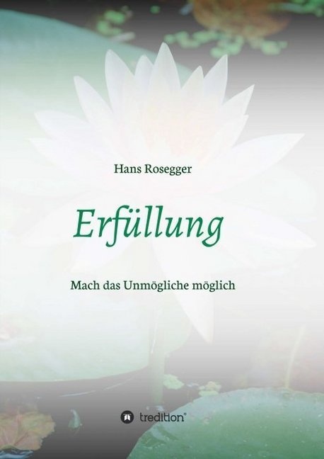 Erfüllung - Hans Rosegger  Kartoniert (TB)