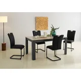 Home Affaire Essgruppe HOME AFFAIRE "Napoli", grau (anthrazit, anthrazit, anthrazit), B:160cm H:75cm T:88,5cm, Sitzmöbel-Sets, Essgruppe, 5-teilige Tischgruppe mit modernem Freischwinger Stuhl und Esstisch