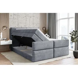 altdecor Boxspringbett BOXI3-Z KING 160 x 200 cm H3/Grau