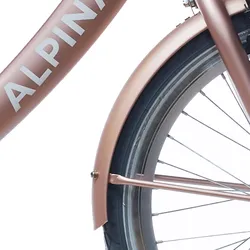 Alpina Fender Set 20 Clubb in mat Roségold goldrosa|goldrosa ONE SIZE
